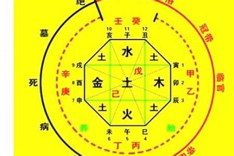 八字 喜忌|生辰八字喜忌神测算，在线八字测算